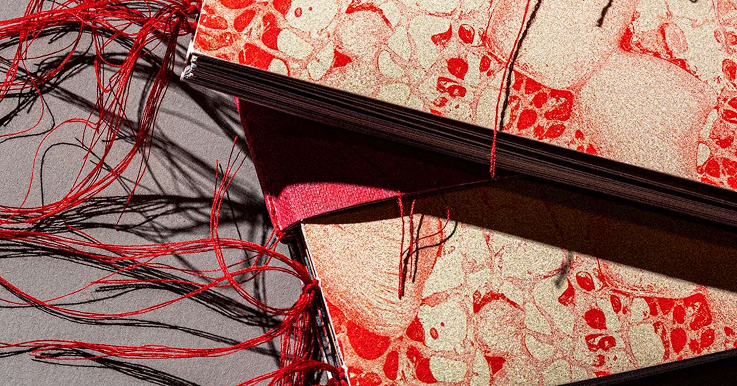 Plastic-blood_OKA_DM9_book_sensory.jpg